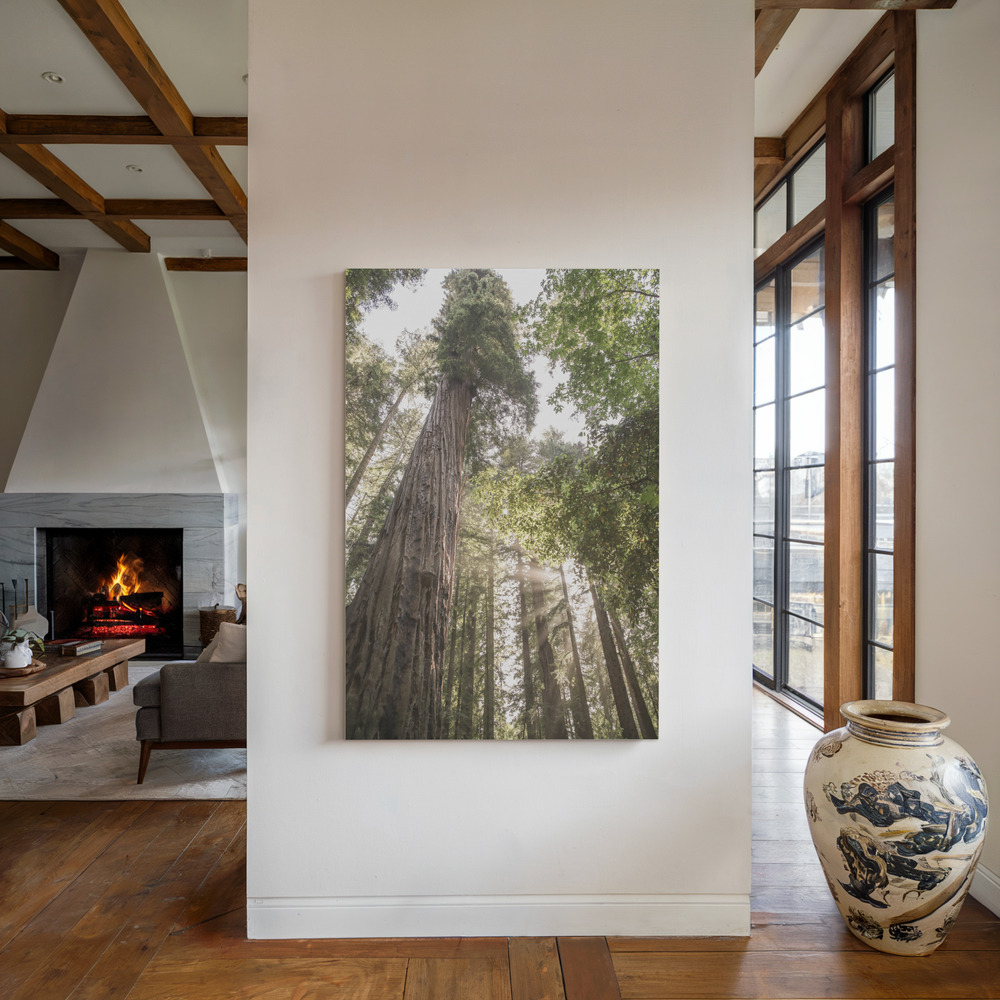 Canvas print - Redwoods by the fireplace