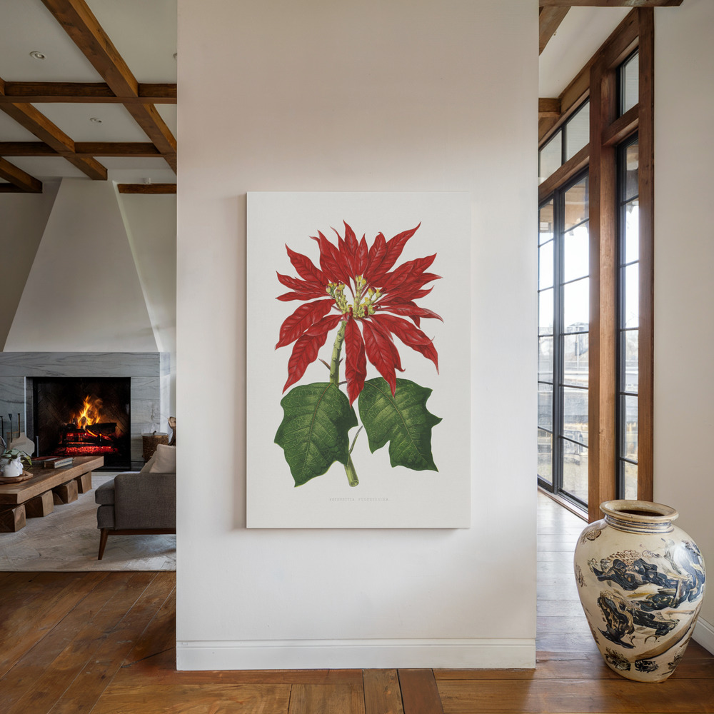 Leinwandbild - Poinsettia Pulcherrima Leaf Illustration am Kamin