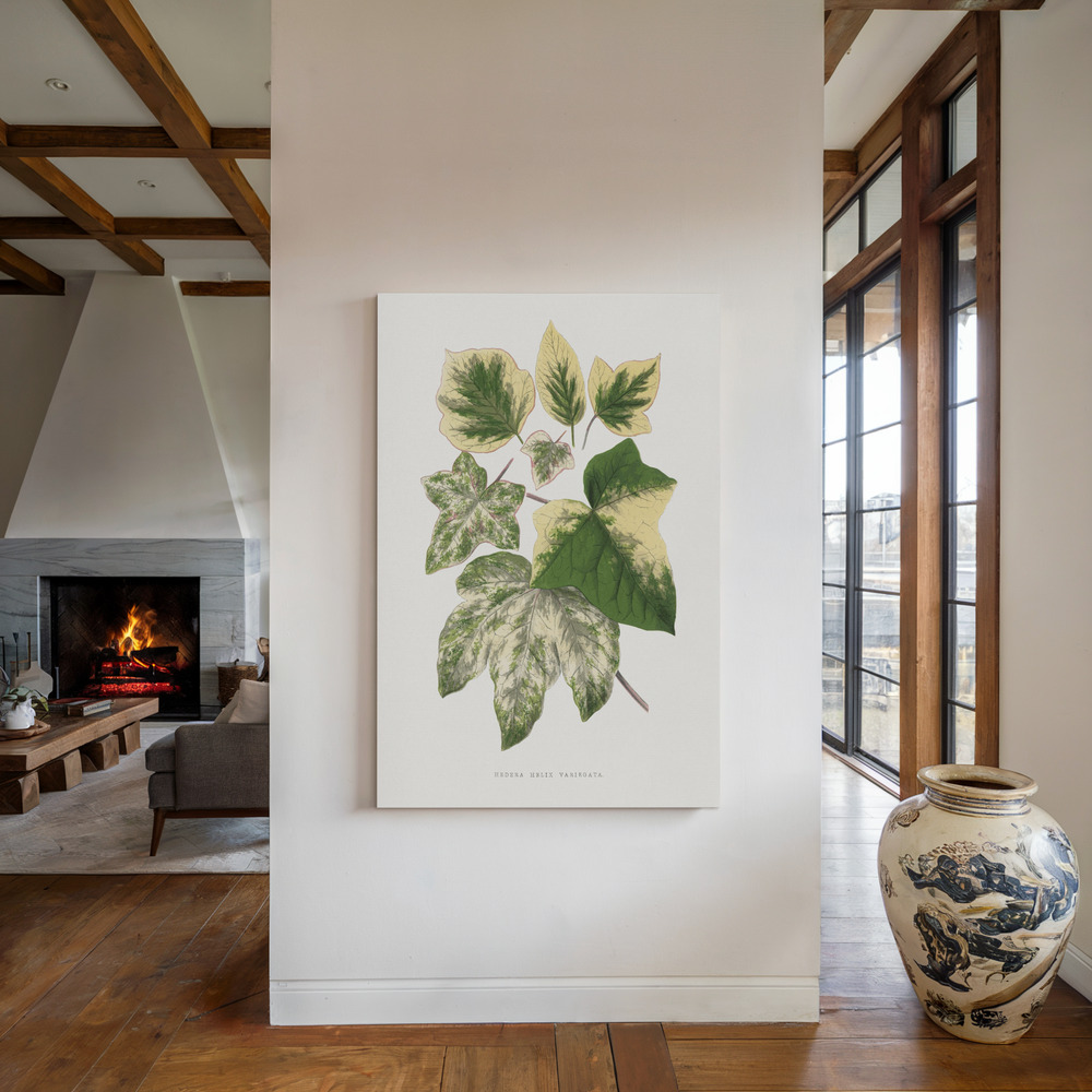 Canvas taulu - Green Leaf Illustration takan ääressä