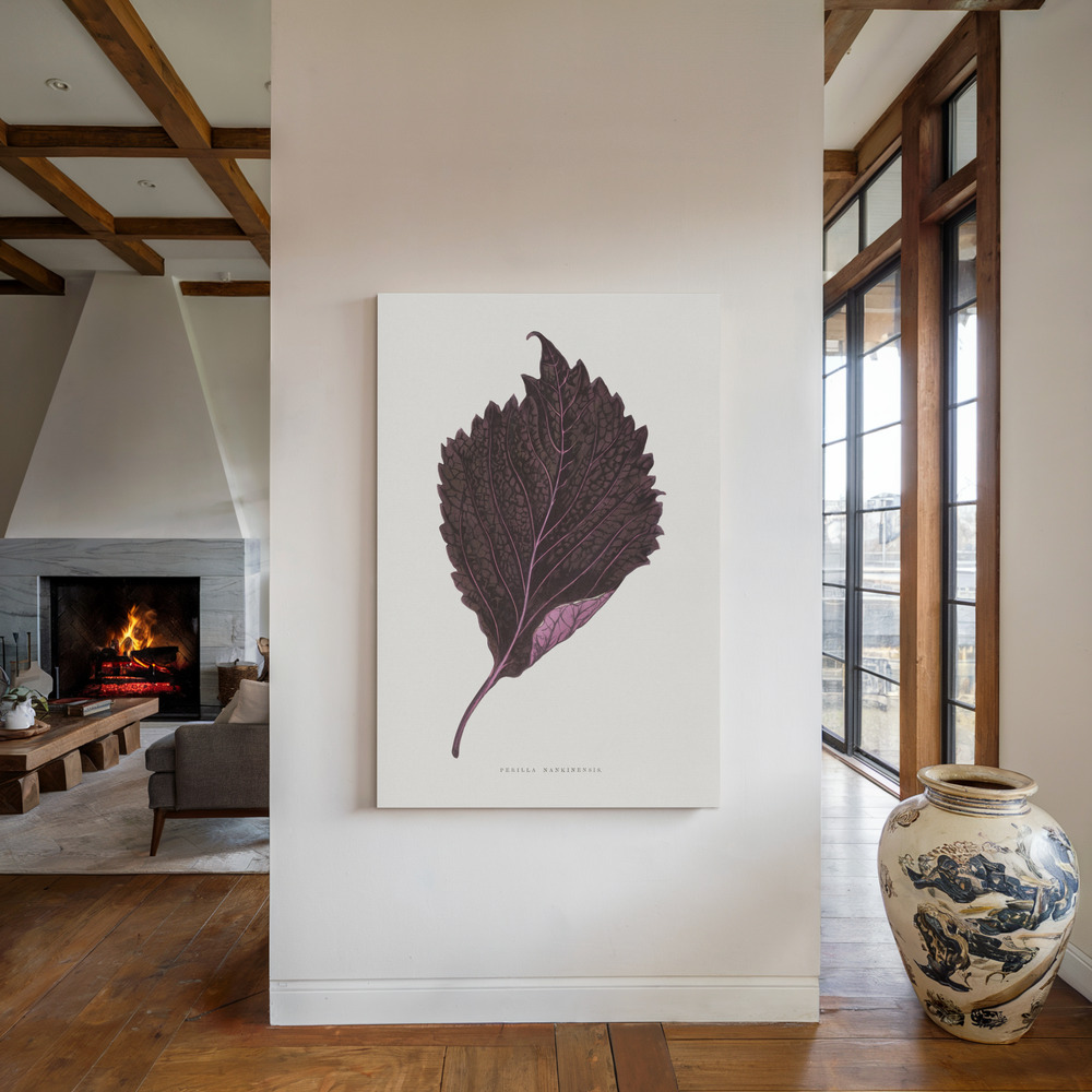 Toile - Pink Perilla Nankinensis Leaf Illustration au coin du feu