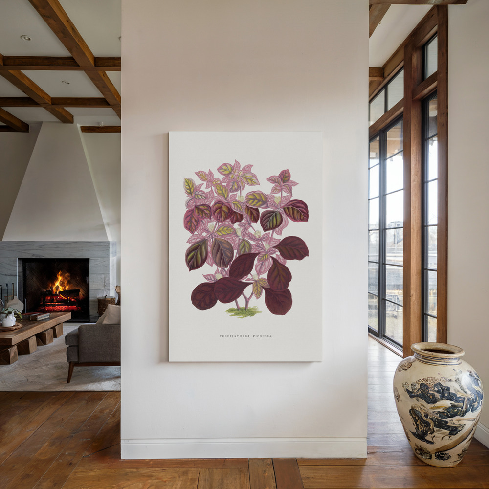 Stampe su tela - Pink Teleianthera Ficoidea Leaf Illustration accanto al camino