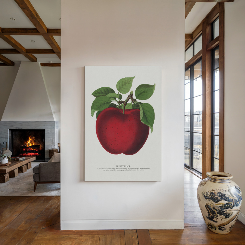 Canvas schilderi - Mcintosh Red Apple Lithograph bij de open haard