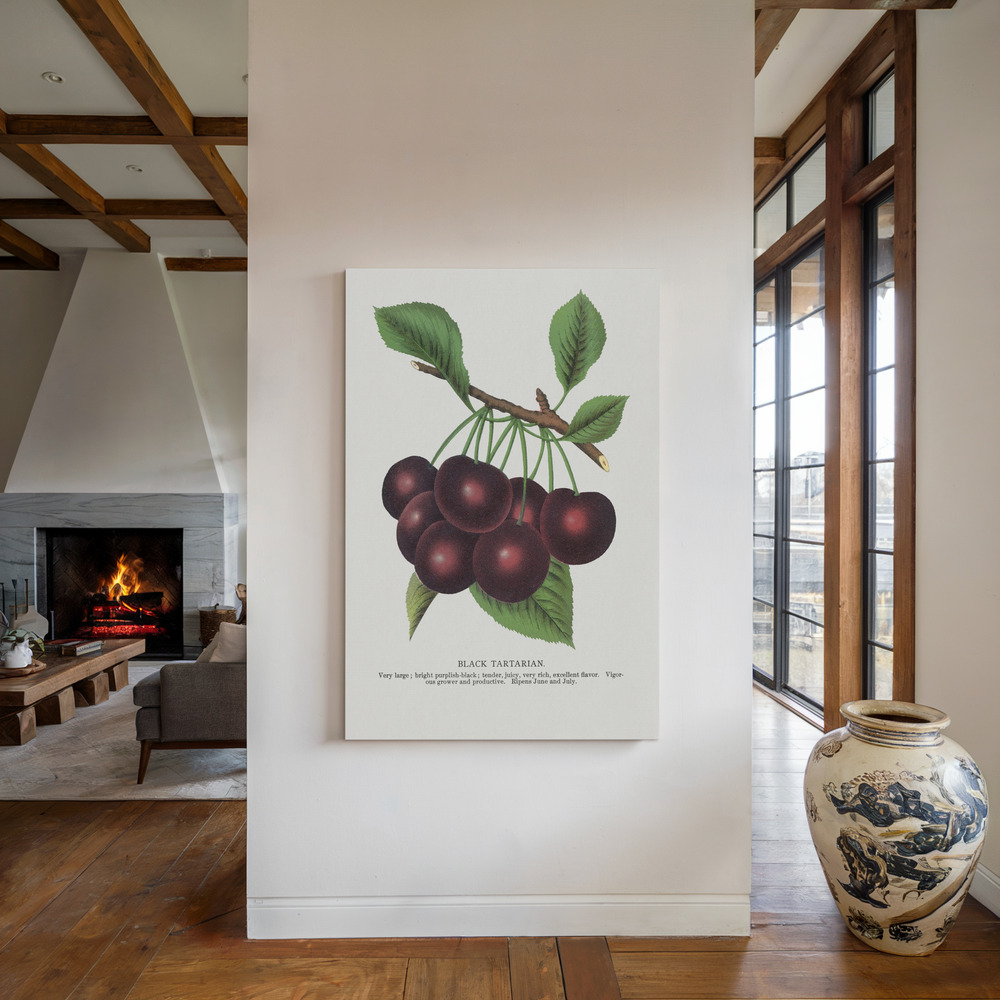 Toile - Black Tartarian Cherry Lithograph au coin du feu