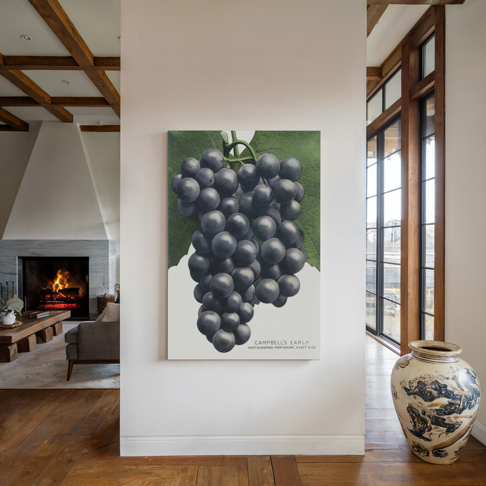 Canvas schilderi - Campbell's Early Grape Lithograph bij de open haard