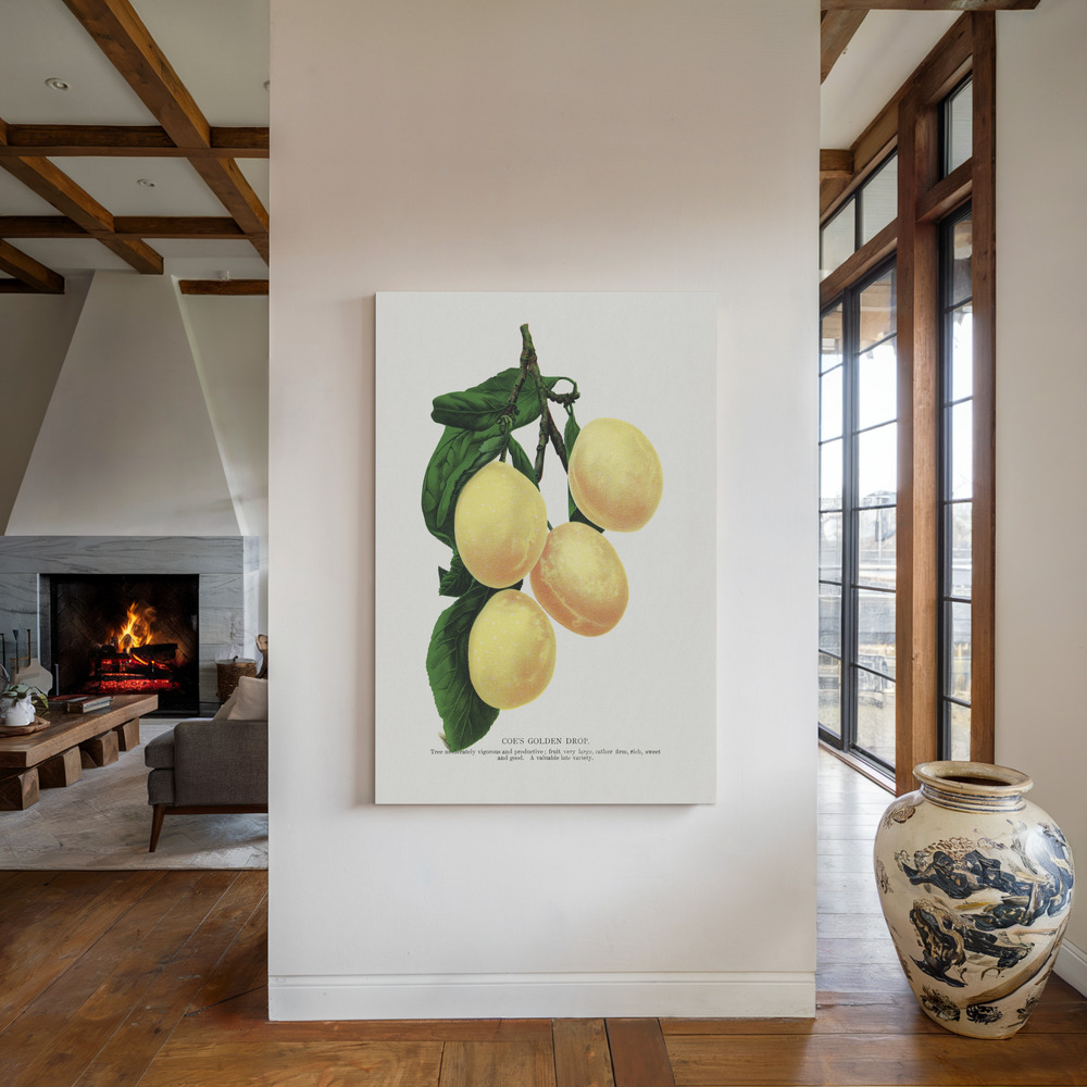 Canvas print - Coe's Golden Drop Plum Lithograph by the fireplace