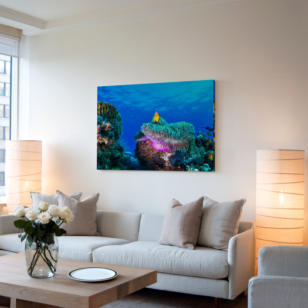 Canvas taulu - Sea life olohuoneessa