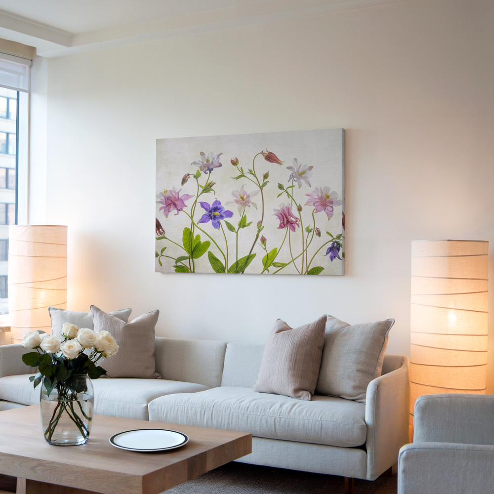 Leinwandbild - Columbine im Wohnzimmer