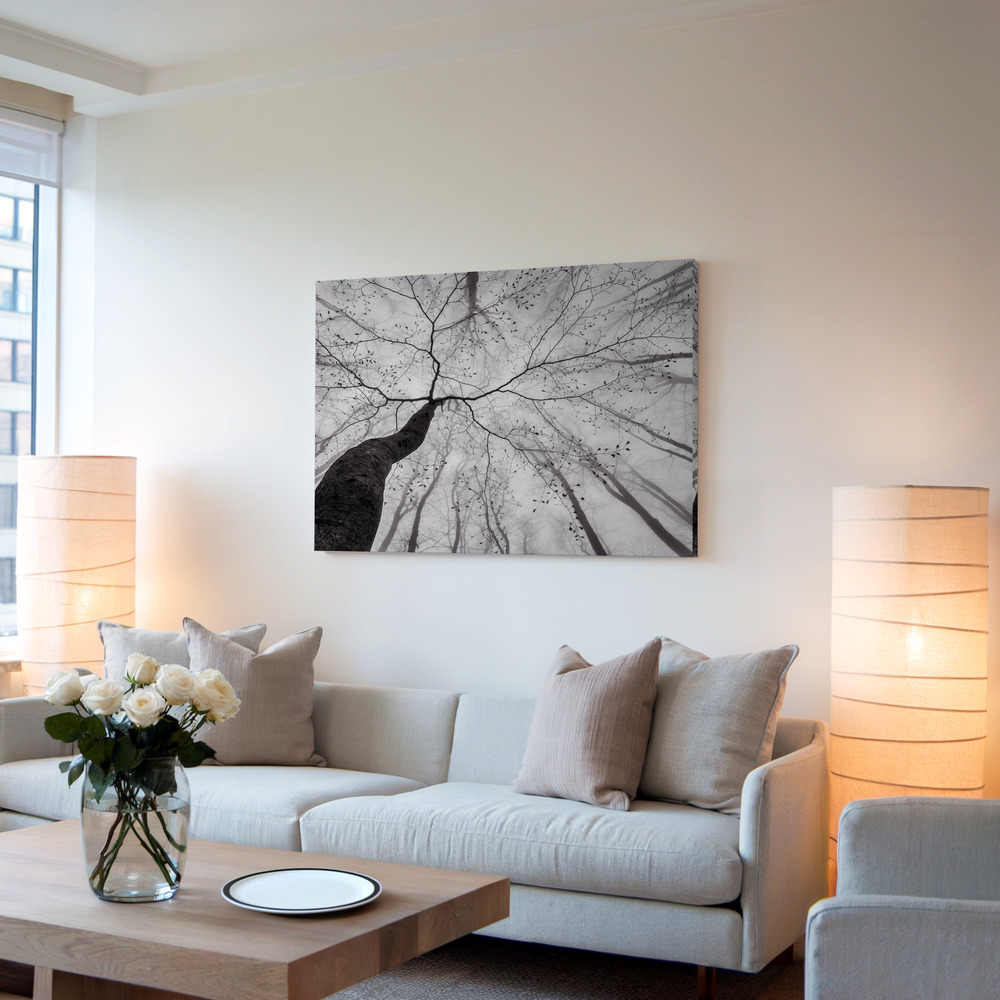 Canvas print - A view of the tree crown in living room