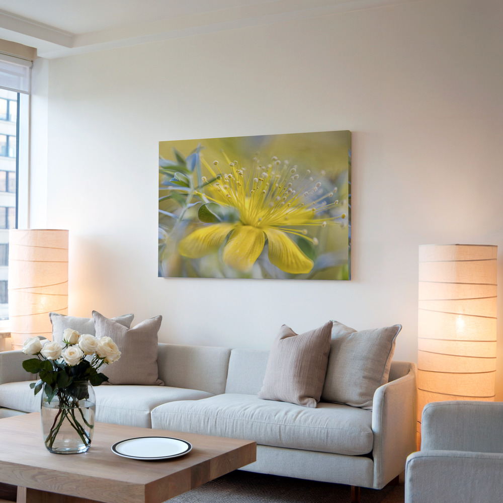 Canvas taulu - Hypericum olohuoneessa