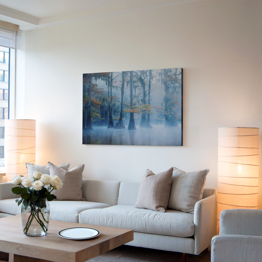 Canvas print - Foggy Swamp Morning in living room