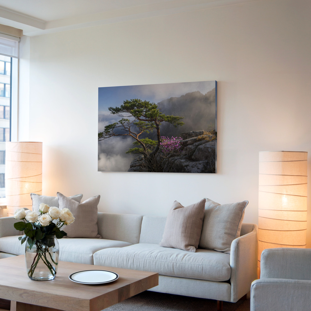 Canvas print - Dream dancer in living room