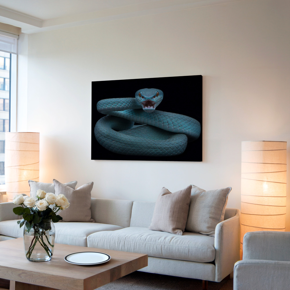 Canvas print - Angry in living room