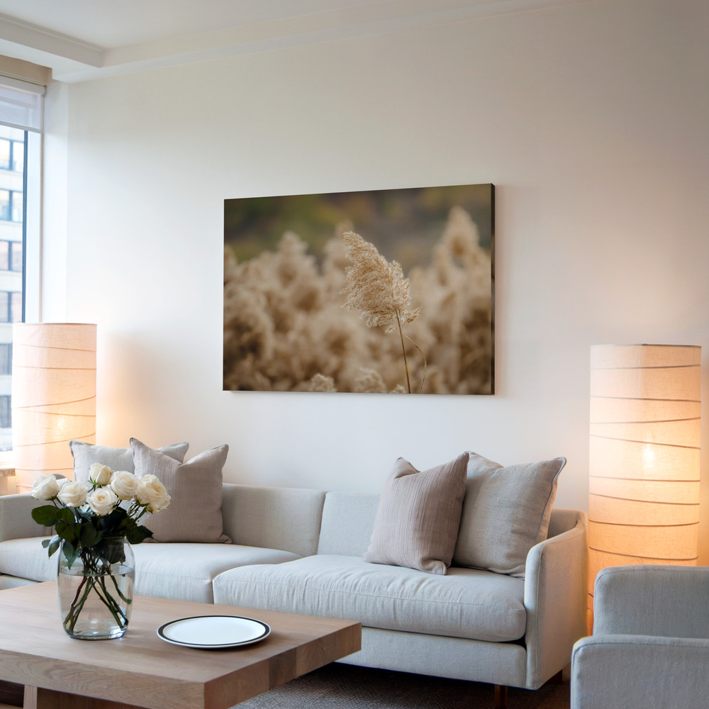 Canvas print - reed flower in living room