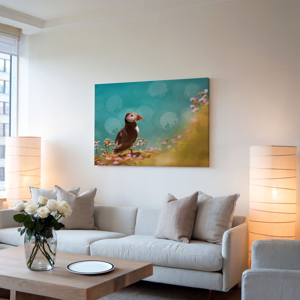 Toile - Atlantic puffin (Fratercula arctica) dans le salon