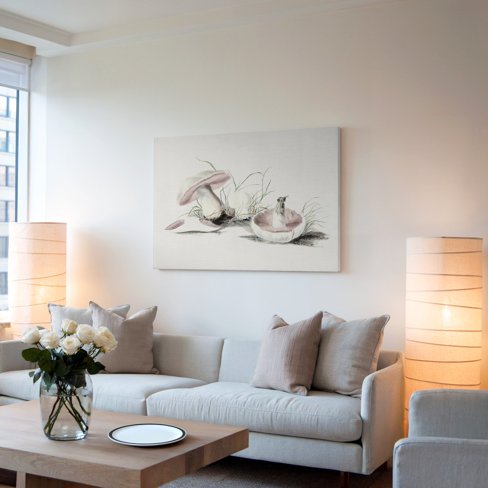 Canvas print - Hand Drawn Field Mushroom in living room