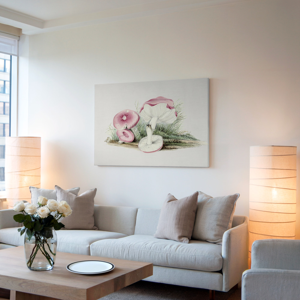 Canvas print - Vintage Russula Emetica Mushroom in living room