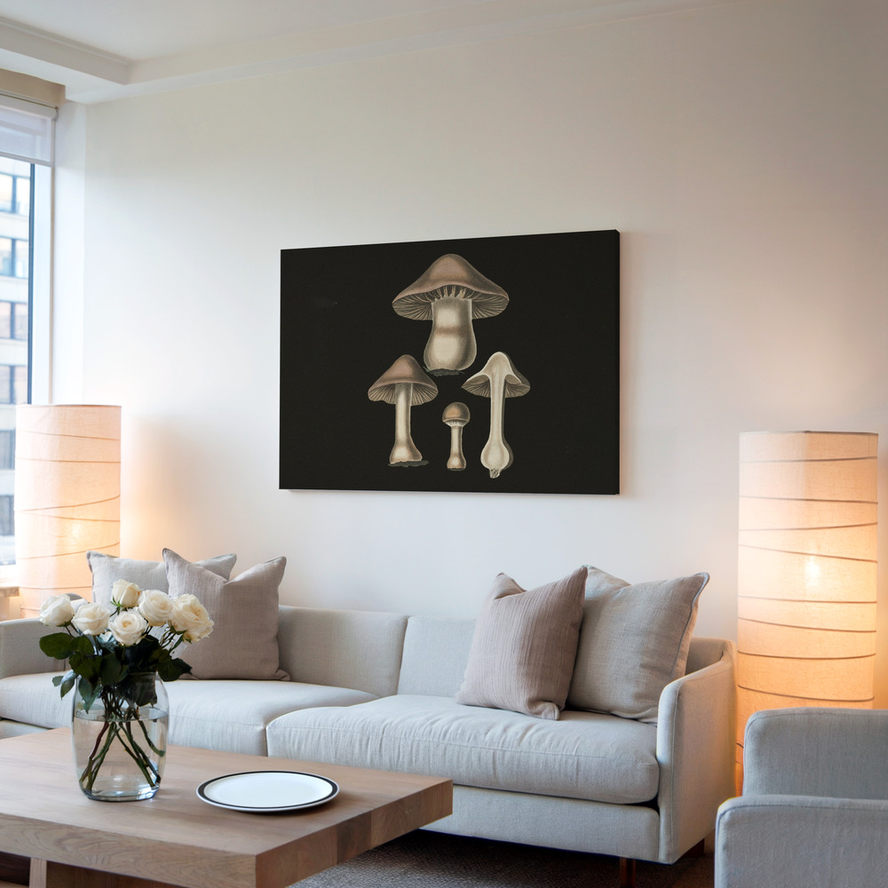 Stampe su tela - Agaricus Bulbosus Dark Background in soggiorno