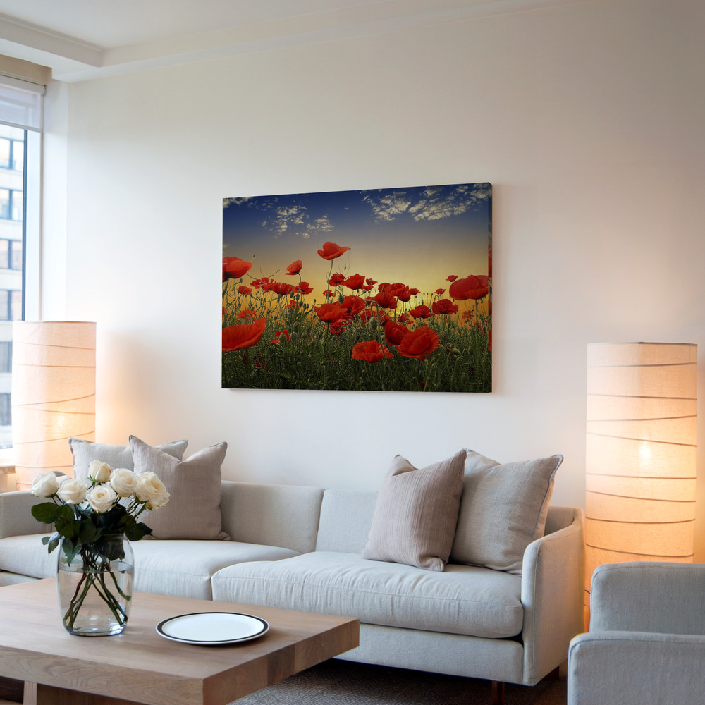Canvas taulu - Poppies olohuoneessa