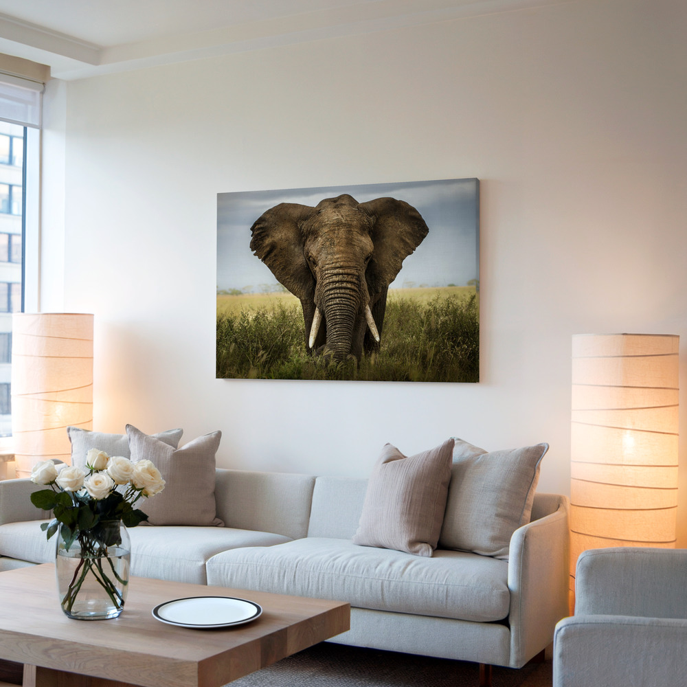 Canvas schilderi - Encounters in Serengeti in de woonkamer