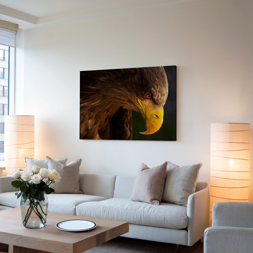 Canvas schilderi - Eagle pursues prey in de woonkamer