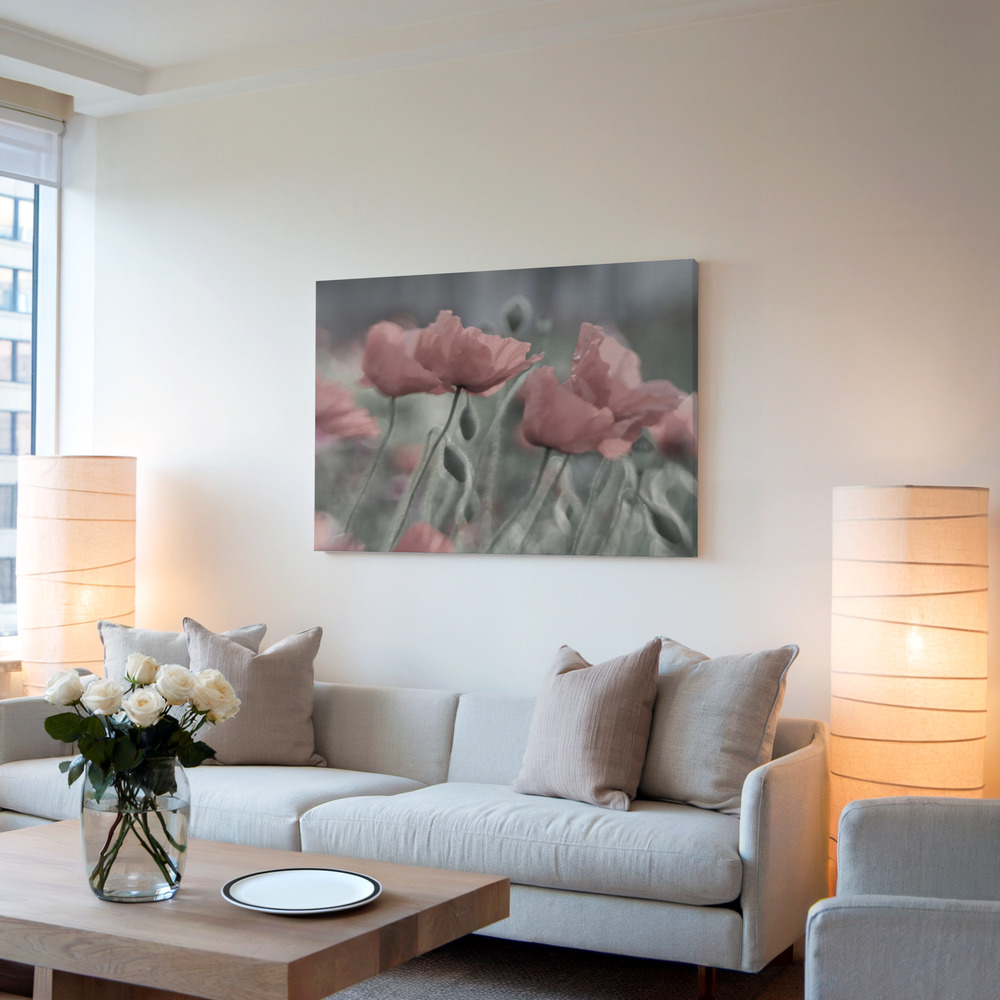Toile - Softly dans le salon