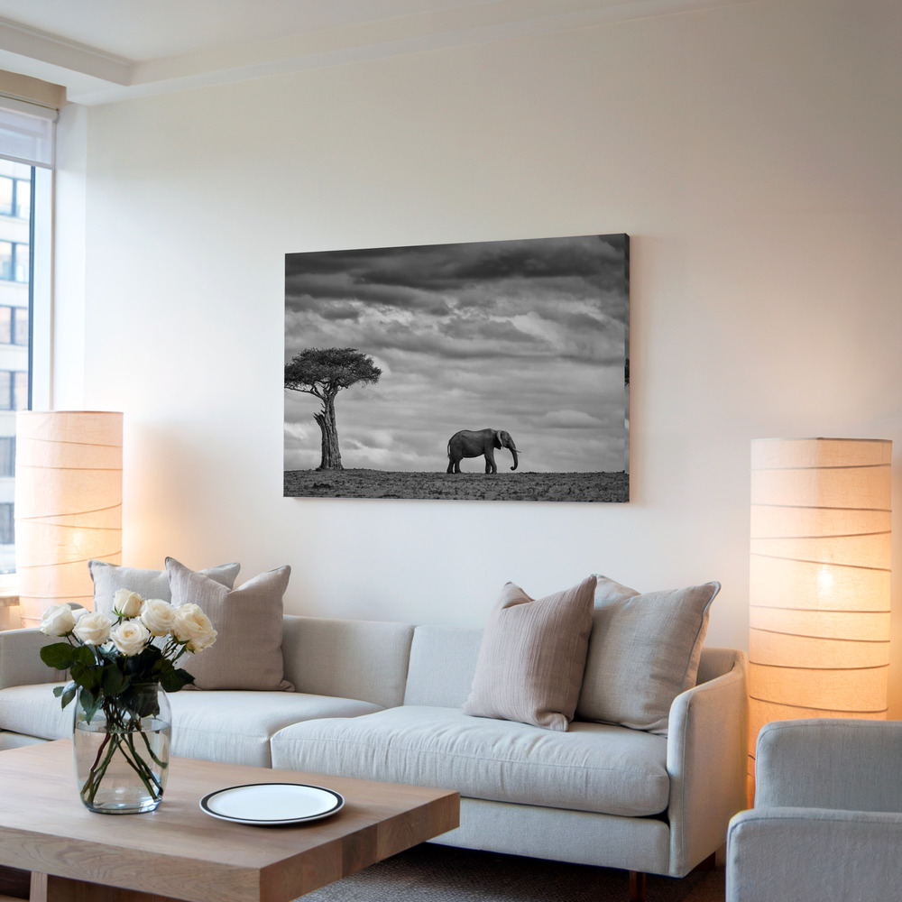 Canvas print - Elephant Landscape in living room