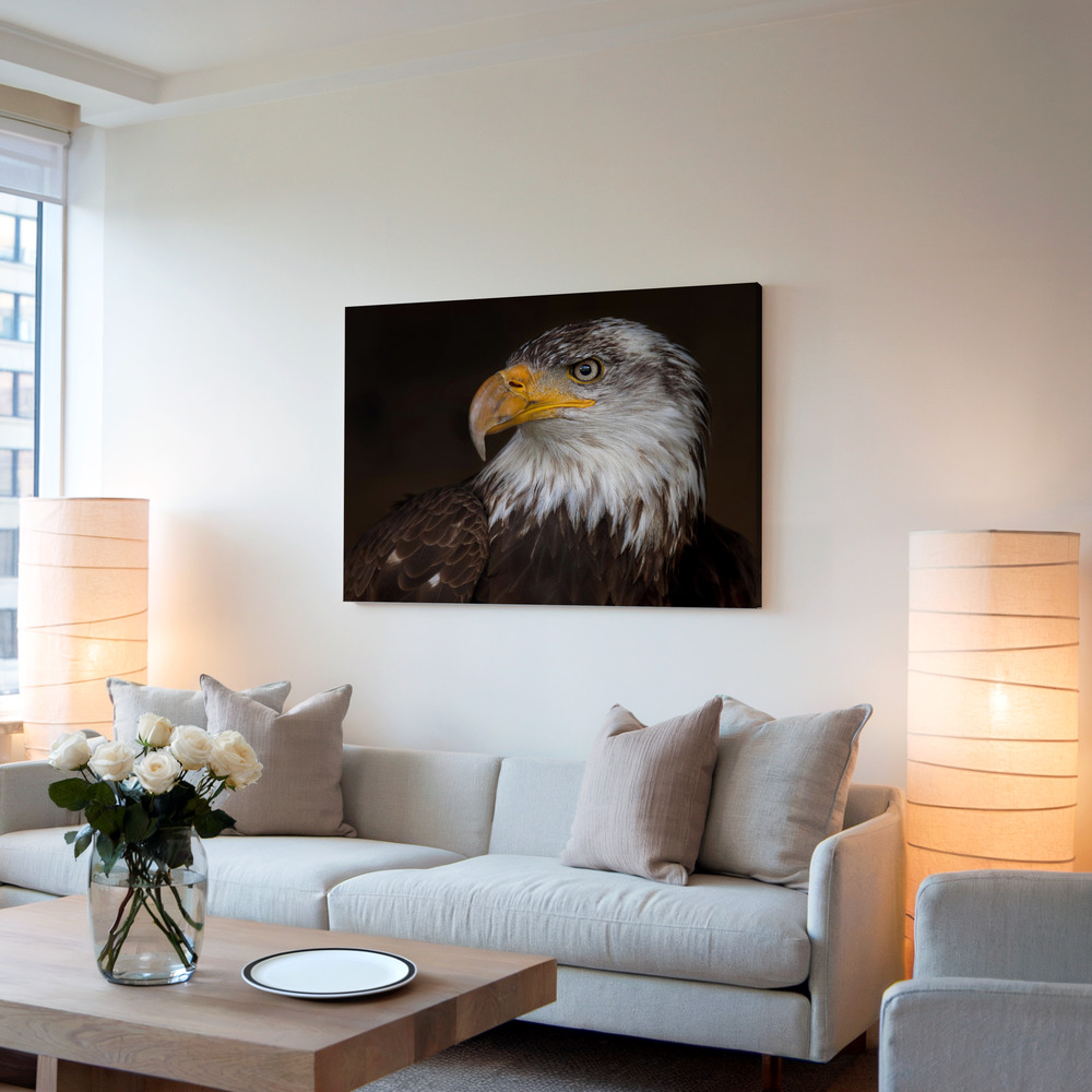 Lærred - Caged - Bald Eagle i stuen