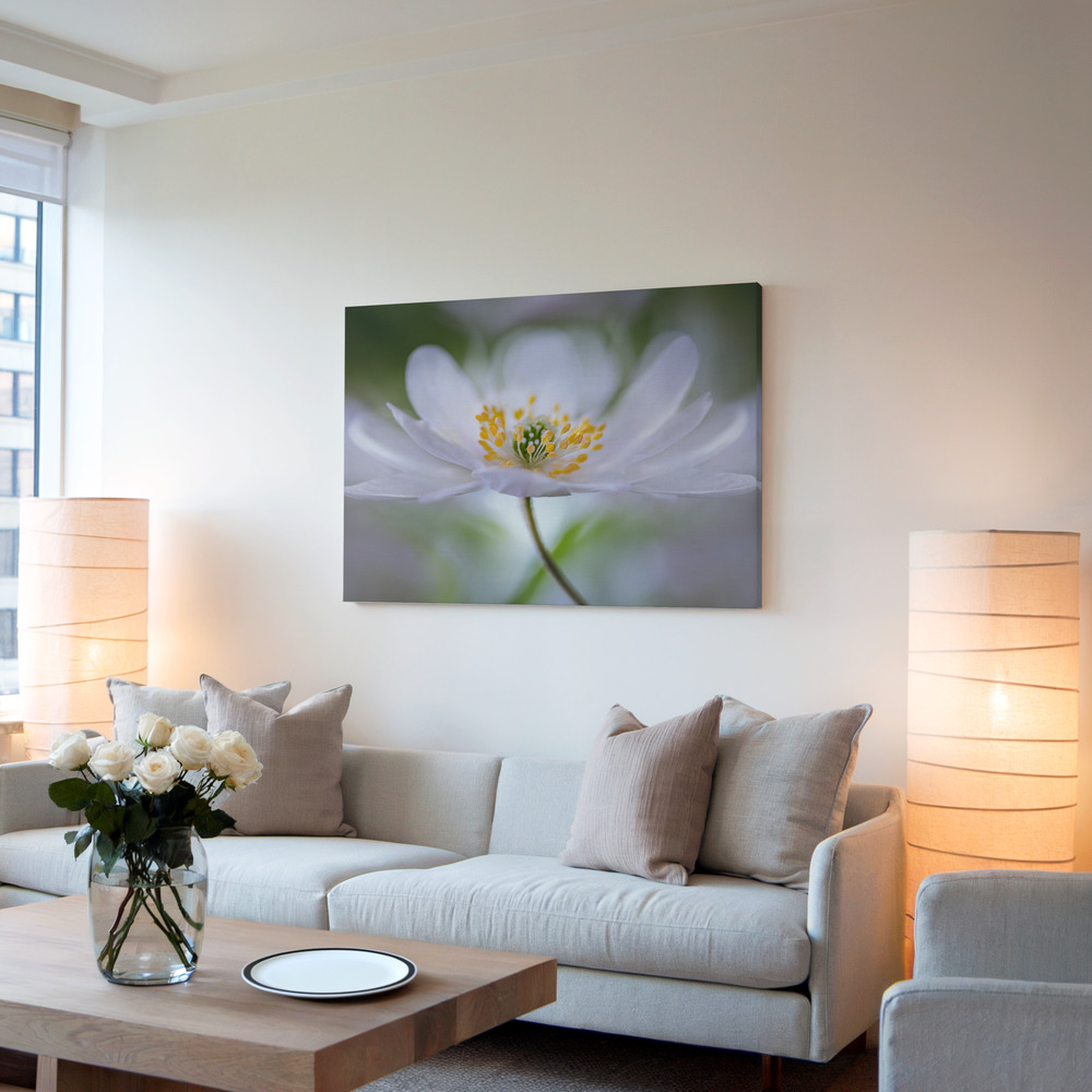 Toile - Nemorosa Nirvana dans le salon
