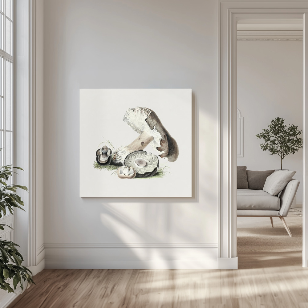 Canvas print - Vintage Agaricus Augustus Mushroom in the livingroom