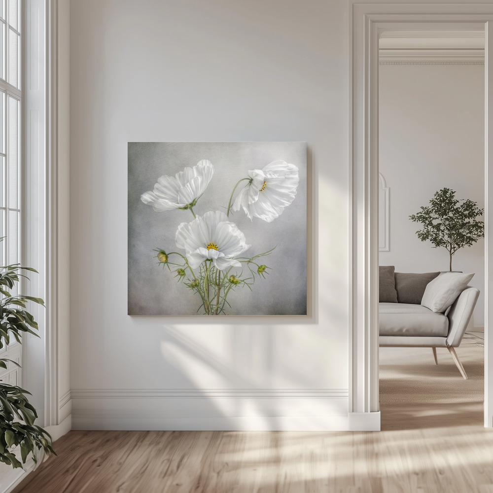 Canvas print - Cosmos Charm in the livingroom