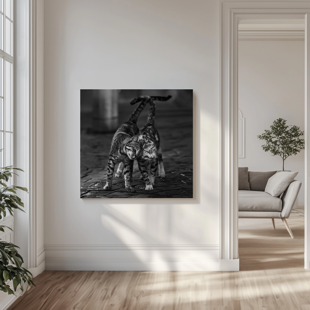 Canvas print - Untitled in the livingroom
