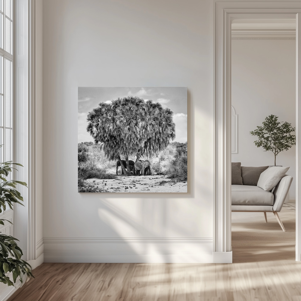 Lienzo - Noon meeting en el salón