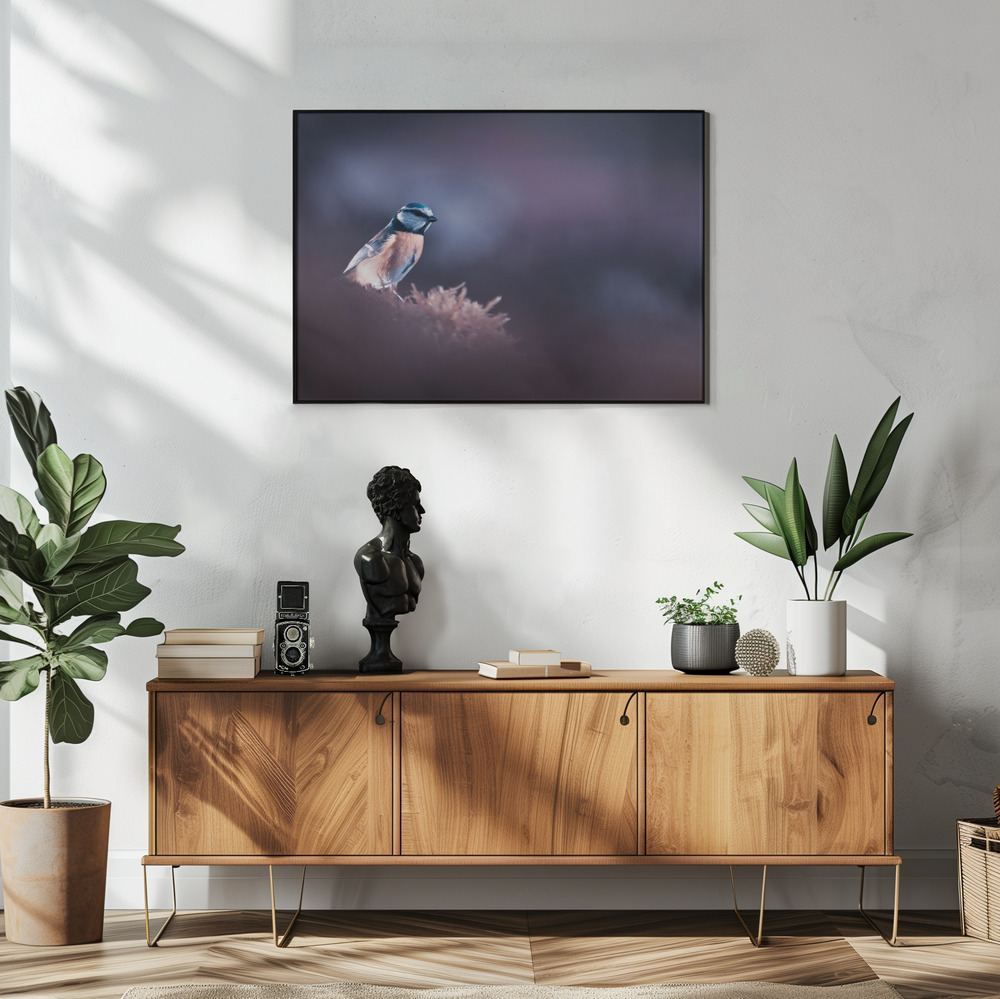 Poster A bird world - Affisch i vardagsrummet
