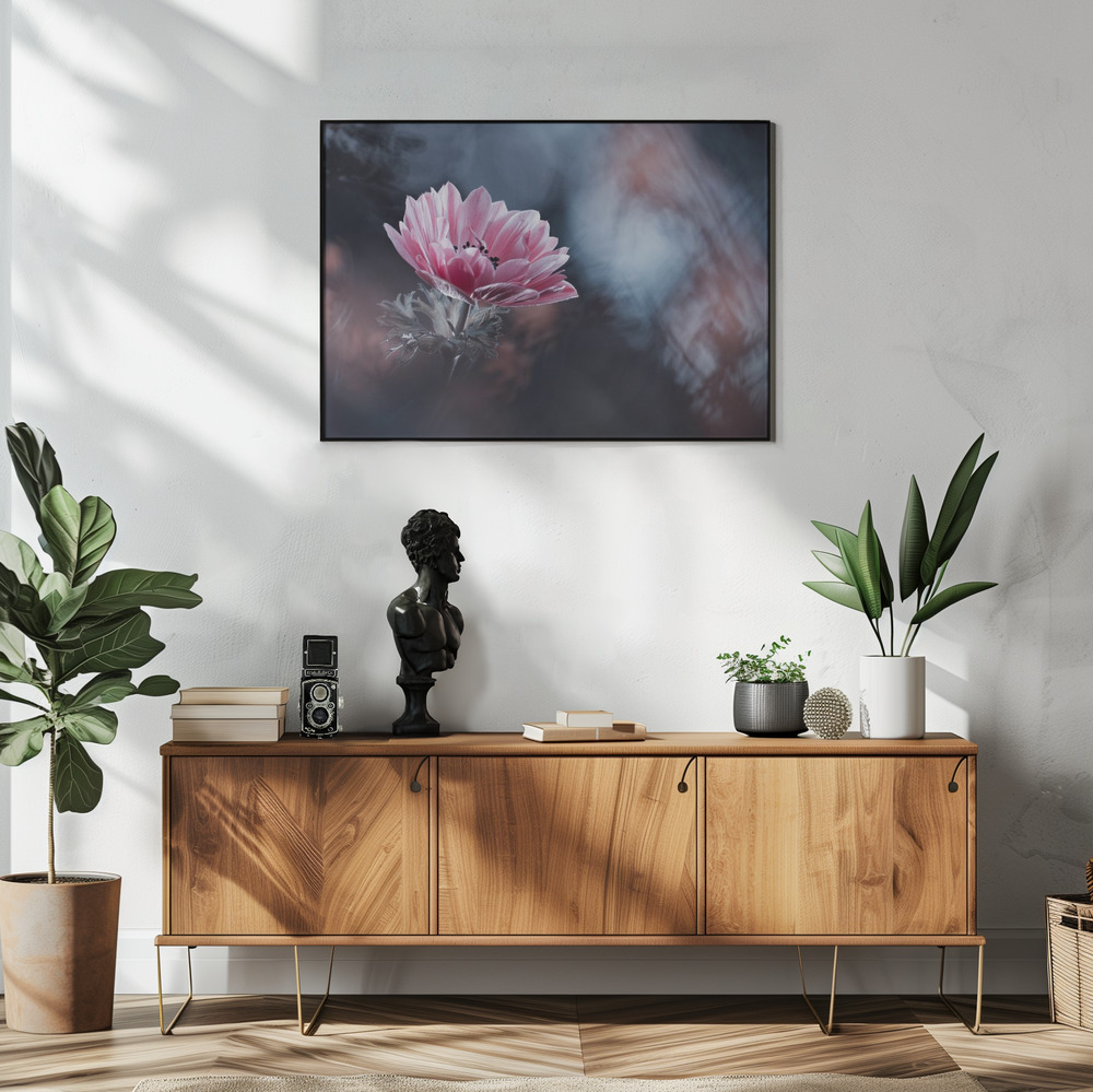 Poster AnEmone - Affisch i vardagsrummet