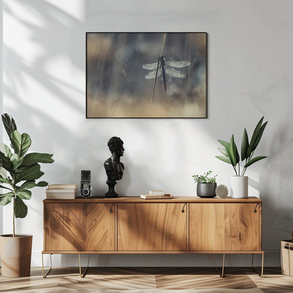 Poster - Wings in living room